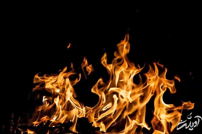 مرگ هانس استاینینگر